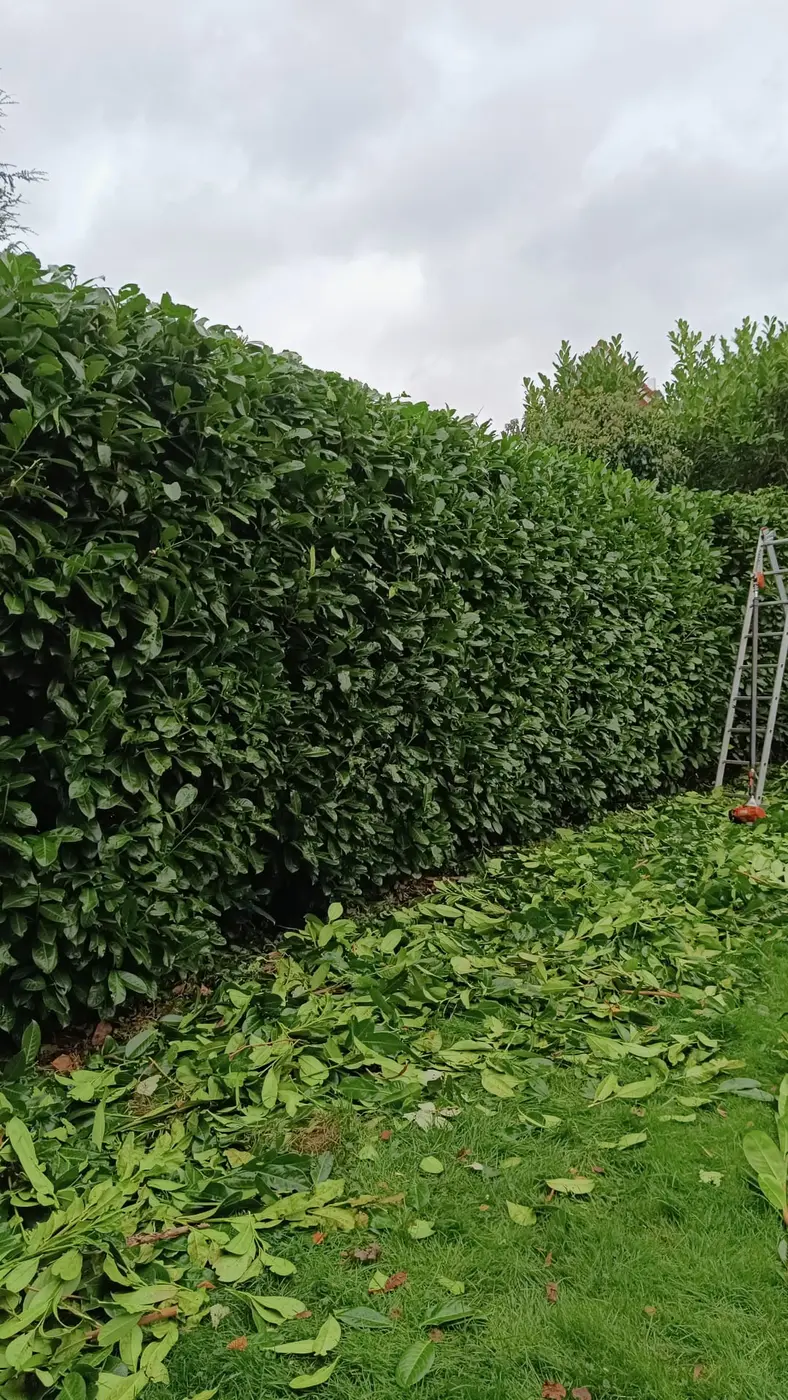 Projektbild Utech Gartenbau – neues Projekt 9