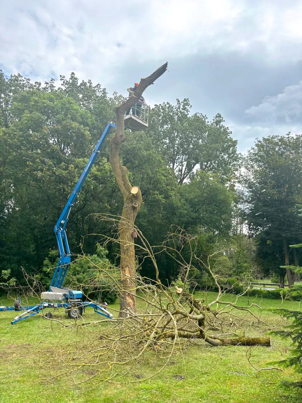 Projektbild Utech Gartenbau – neues Projekt 13