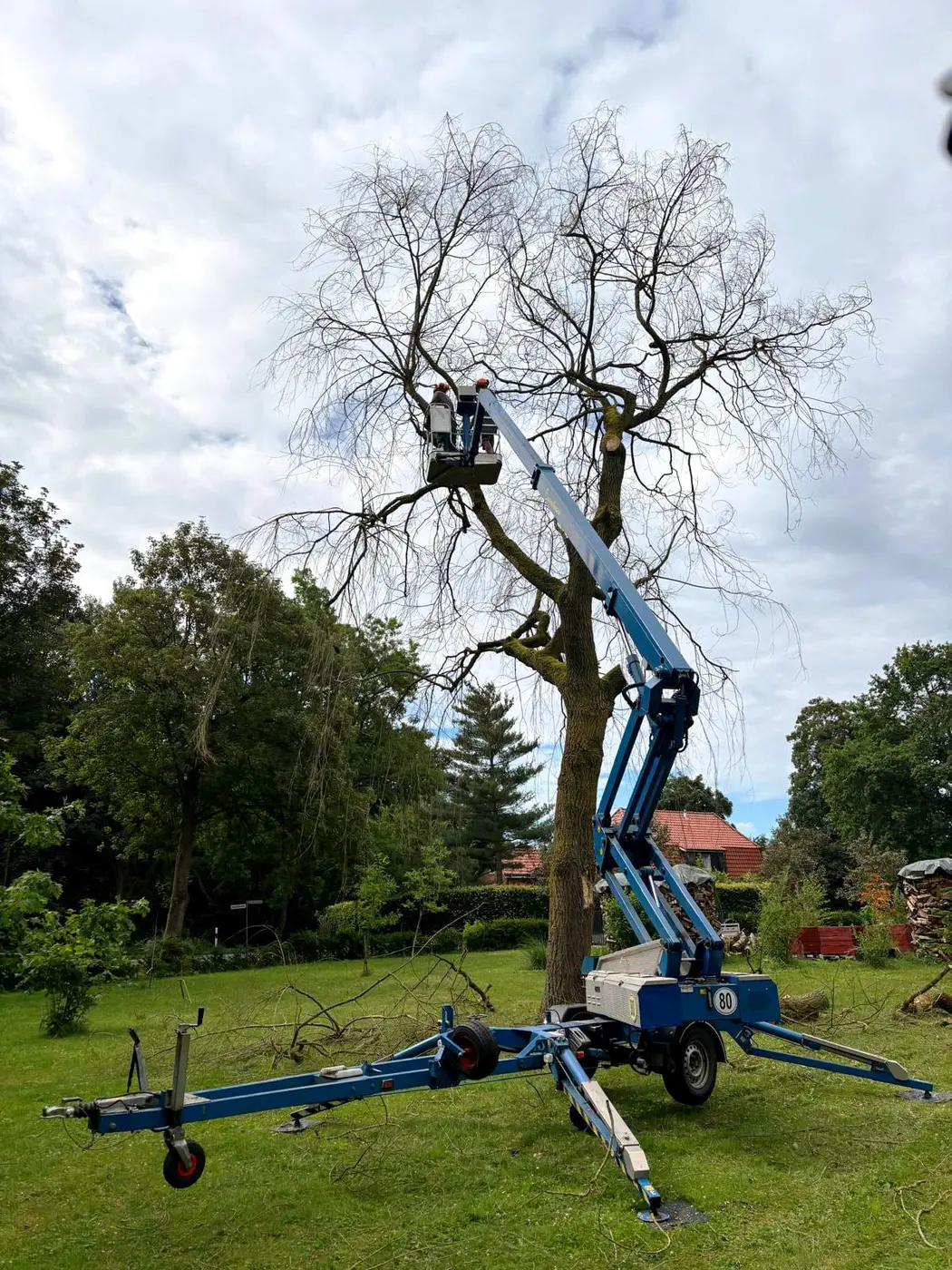 Projektbild Utech Gartenbau – neues Projekt 20