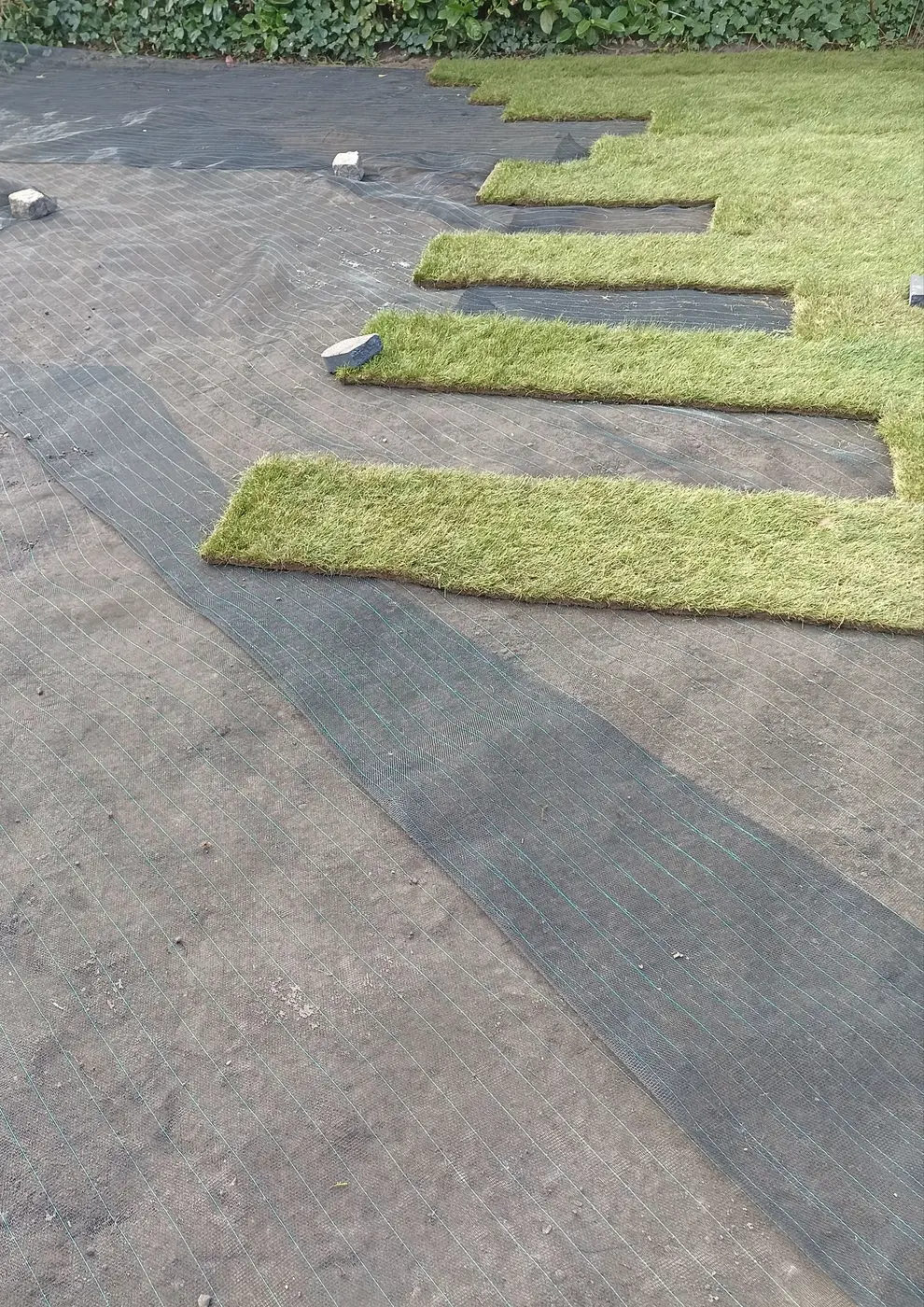 Projektbild Utech Gartenbau – Projekt 43