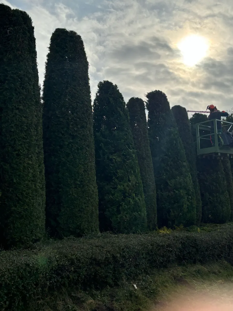 Gartenpflege